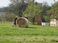 IMG_2726 (800x533)
