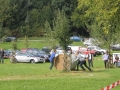 IMG_2727 (800x533)