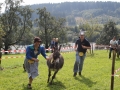 IMG_2925 (800x533)