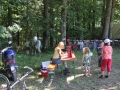 Bild 393