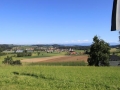 Bild 479