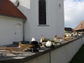 IMG_1693 - Kopie (800x533)