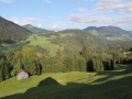 IMG_3178 (800x533)