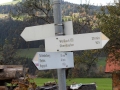 SDC10513