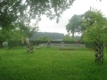 DSC01206