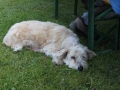 Bild 877