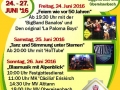 FlyerWaldfest2016FB
